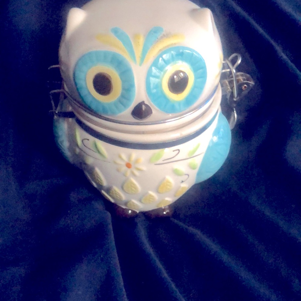 Boston Warehouse Hinged Jar with Floral Owl Design